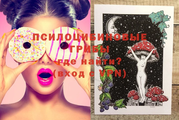 твердый Мегион