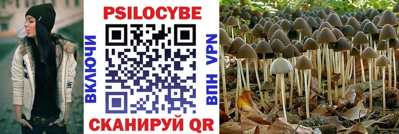 Галлюциногенные грибы Psilocybe  Купить где  Майкоп 